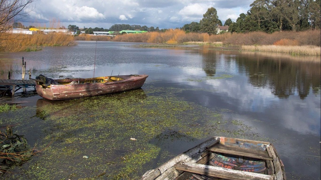Humedales: Un tesoro en Llanquihue