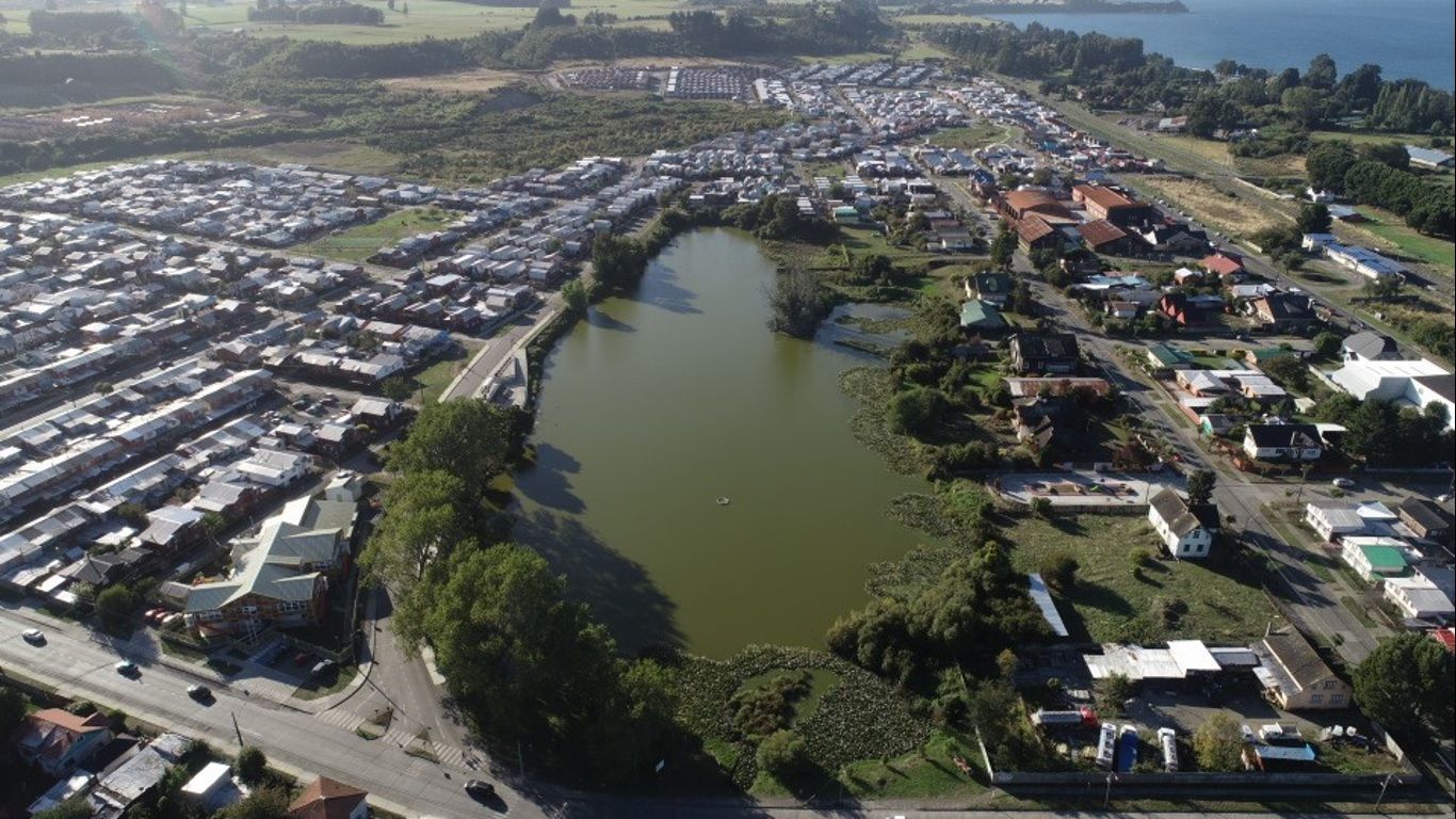 Humedales: Un tesoro en Llanquihue