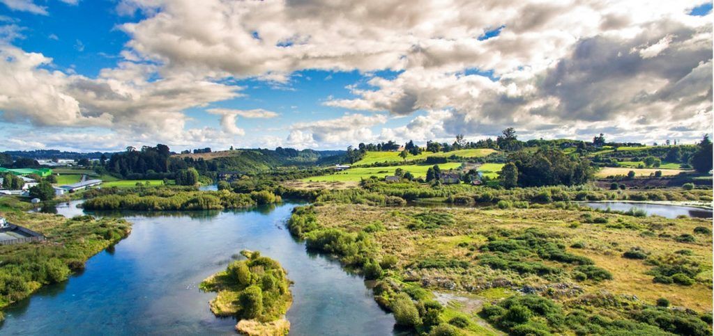 Rio Maullín